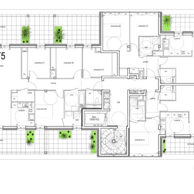 Perle Noire Nantes Clement Gillet 10 400x400