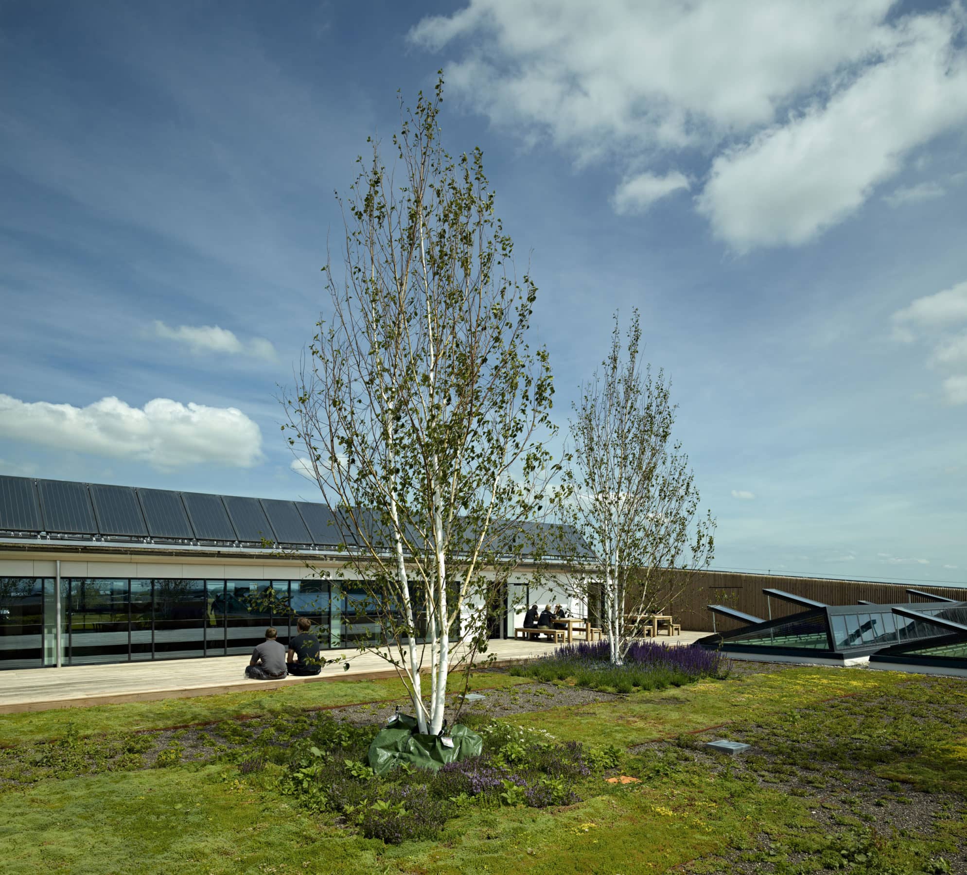 Bestseller Logistics Centre Moller Architects 4 1989x1800