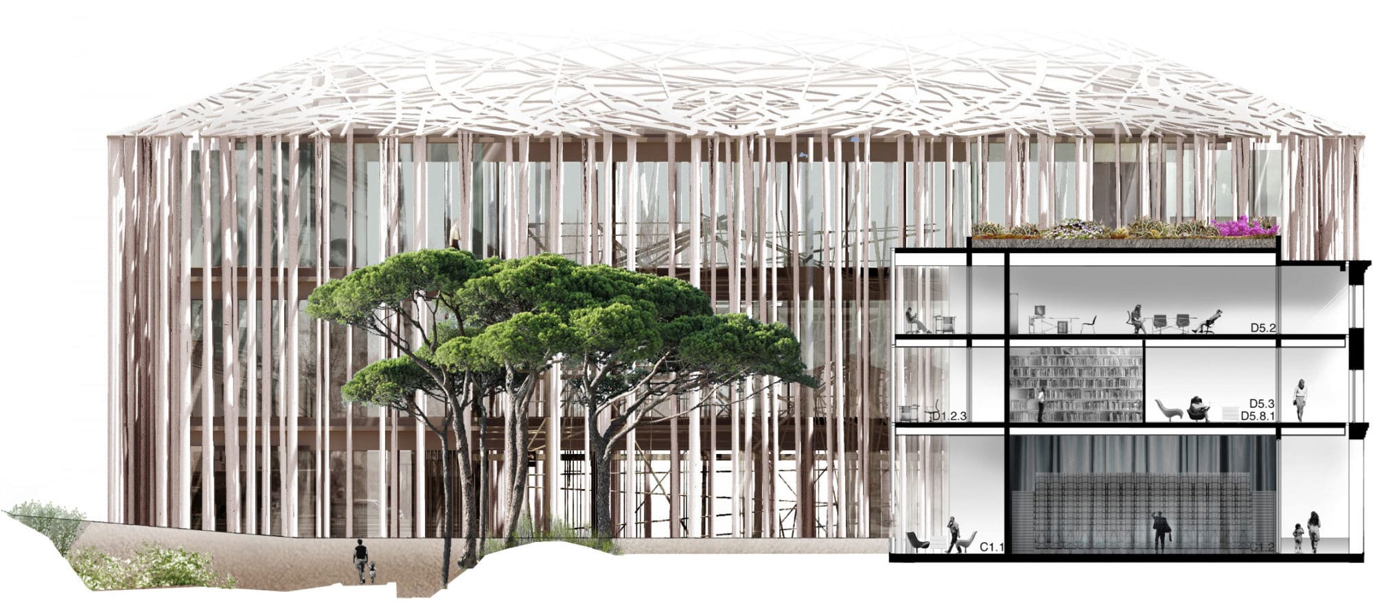 Musee Romanite Nimes Rudy Ricciotti 6 2000x885
