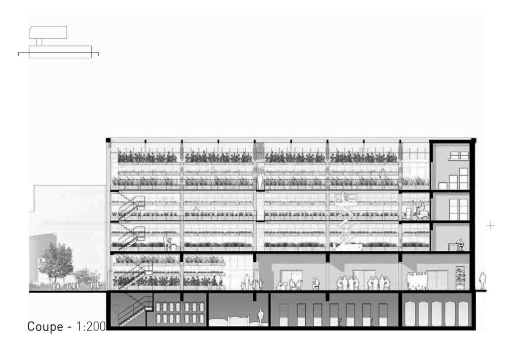 Cité Maraîchère de Romainville par Ilimelgo Cite Maraichere Romainville Coupe 1029x700