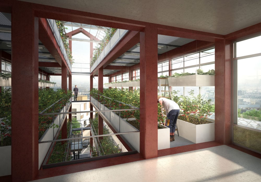 Cité Maraîchère de Romainville par Ilimelgo Cite Maraichere Romainville Visuel 11 1000x700